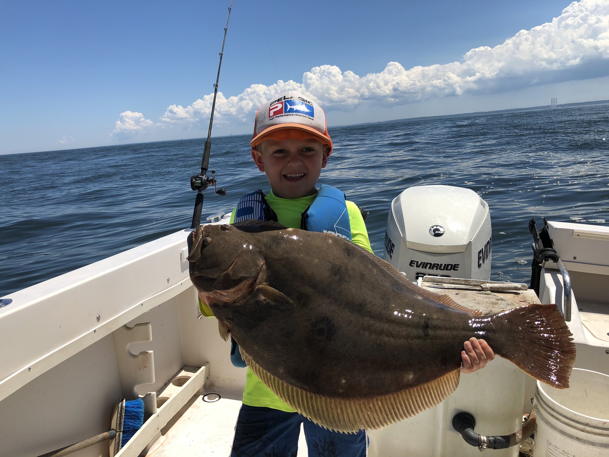 Fluke (Flounder) Fish Mounts & Replicas by CoasttoCoast Fish Mounts